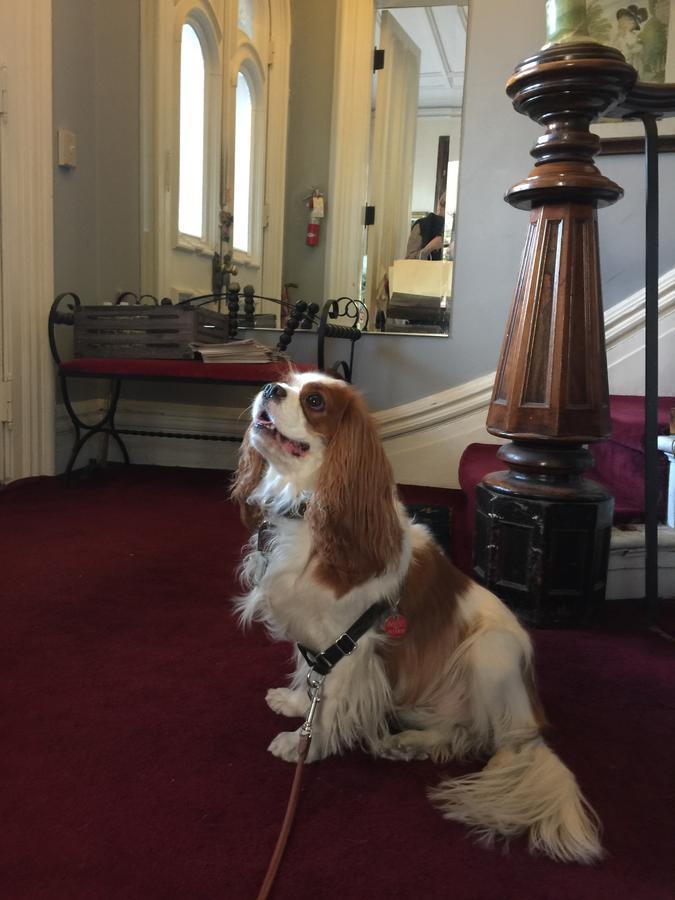 Hudson City Bed And Breakfast Bagian luar foto